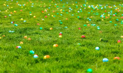 Egg hunt